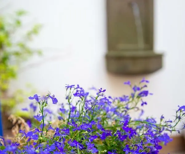 El Hotelito Del - Adults Only El Cotillo (Fuerteventura)