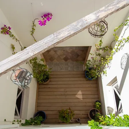 El Hotelito Del - Adults Only 3*