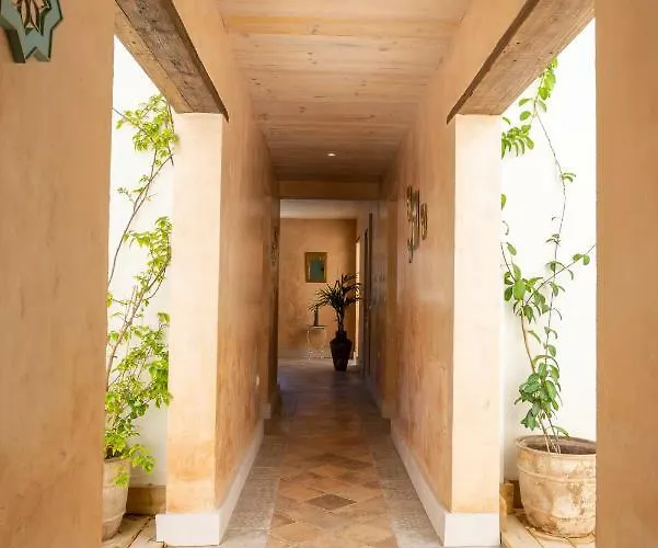 リヤド El Hotelito Del - Adults Only 3*