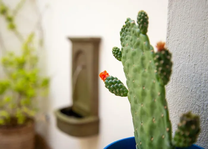 El Hotelito Del - Adults Only رياد