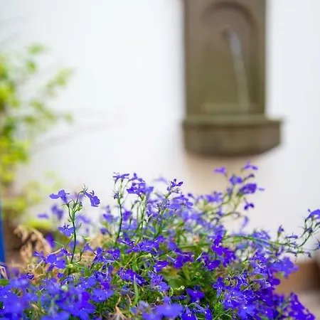 El Hotelito Del - Adults Only Cotillo