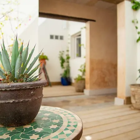 El Hotelito Del - Adults Only