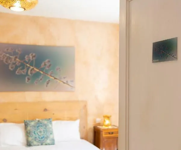 El Hotelito Del - Adults Only 摩洛哥传统庭院住宅