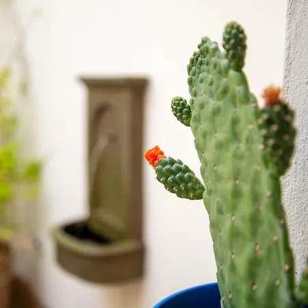 El Hotelito Del - Adults Only 리야드